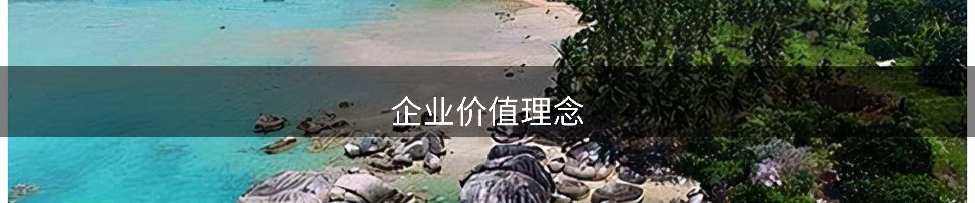 企业价值理念